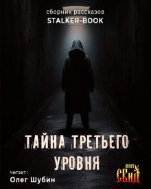 обложка аудиокниги Тайна третьего уровня