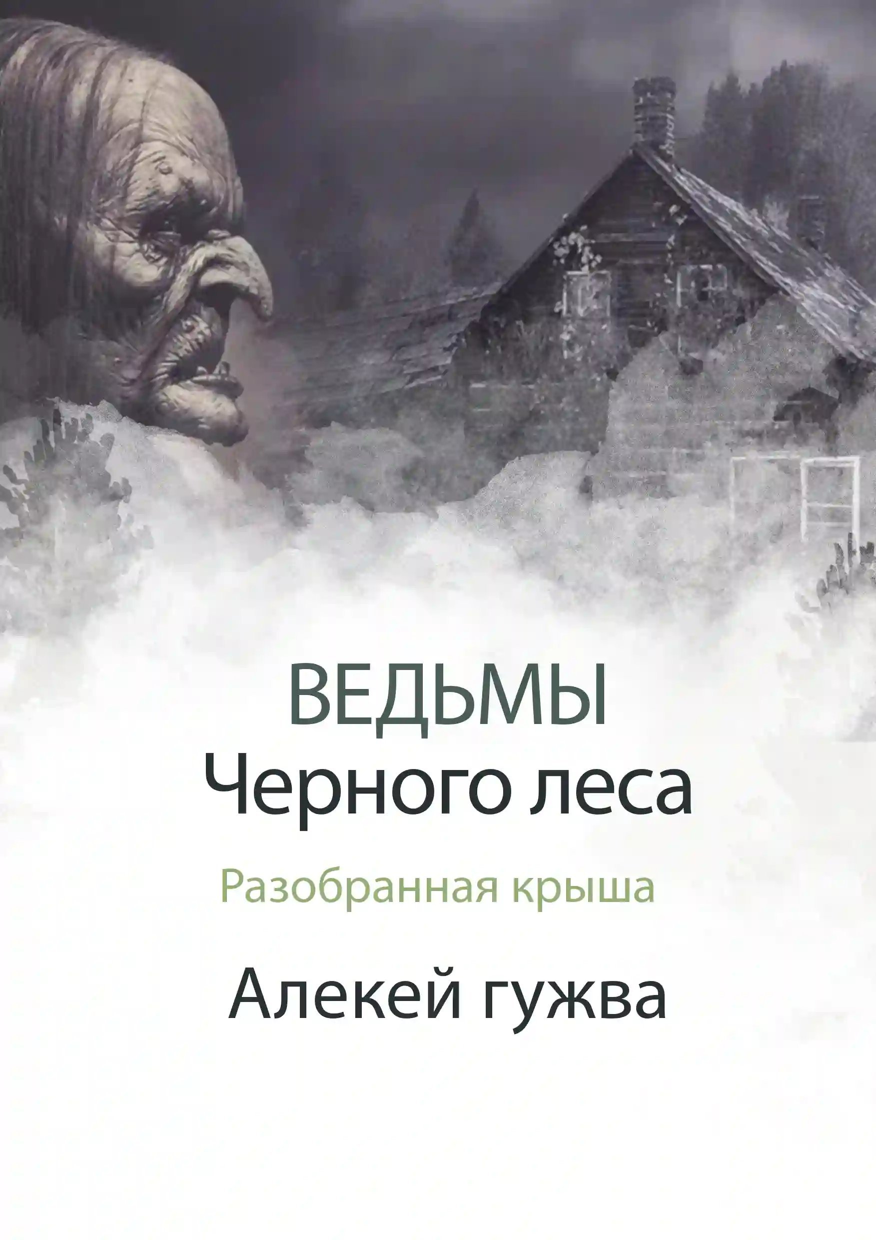 обложка аудиокниги Разобранная крыша