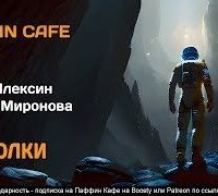 обложка аудиокниги Осколки