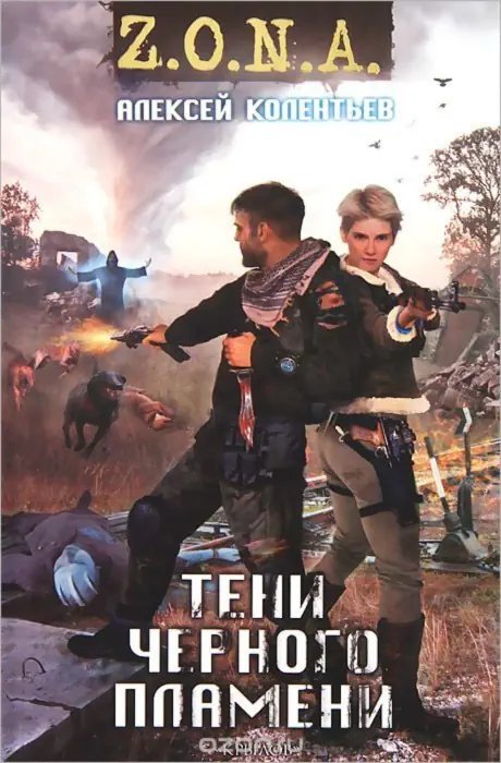 обложка аудиокниги Тени чёрного пламени