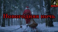 обложка аудиокниги Новогодняя ночь