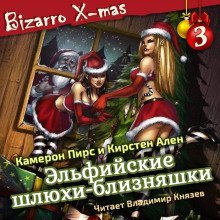 обложка аудиокниги Эльфийские шлюхи близняшки