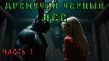 обложка аудиокниги Дремучий Чёрный Лес