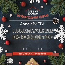 обложка аудиокниги Приключение на Рождество