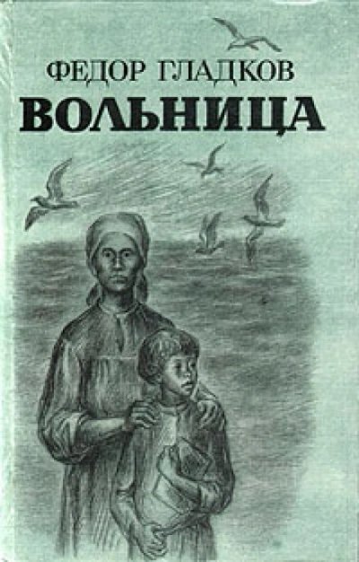 обложка аудиокниги Вольница