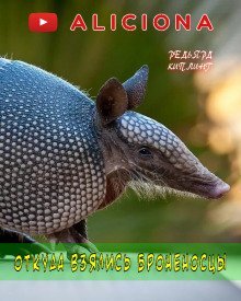 обложка аудиокниги Откуда взялись броненосцы