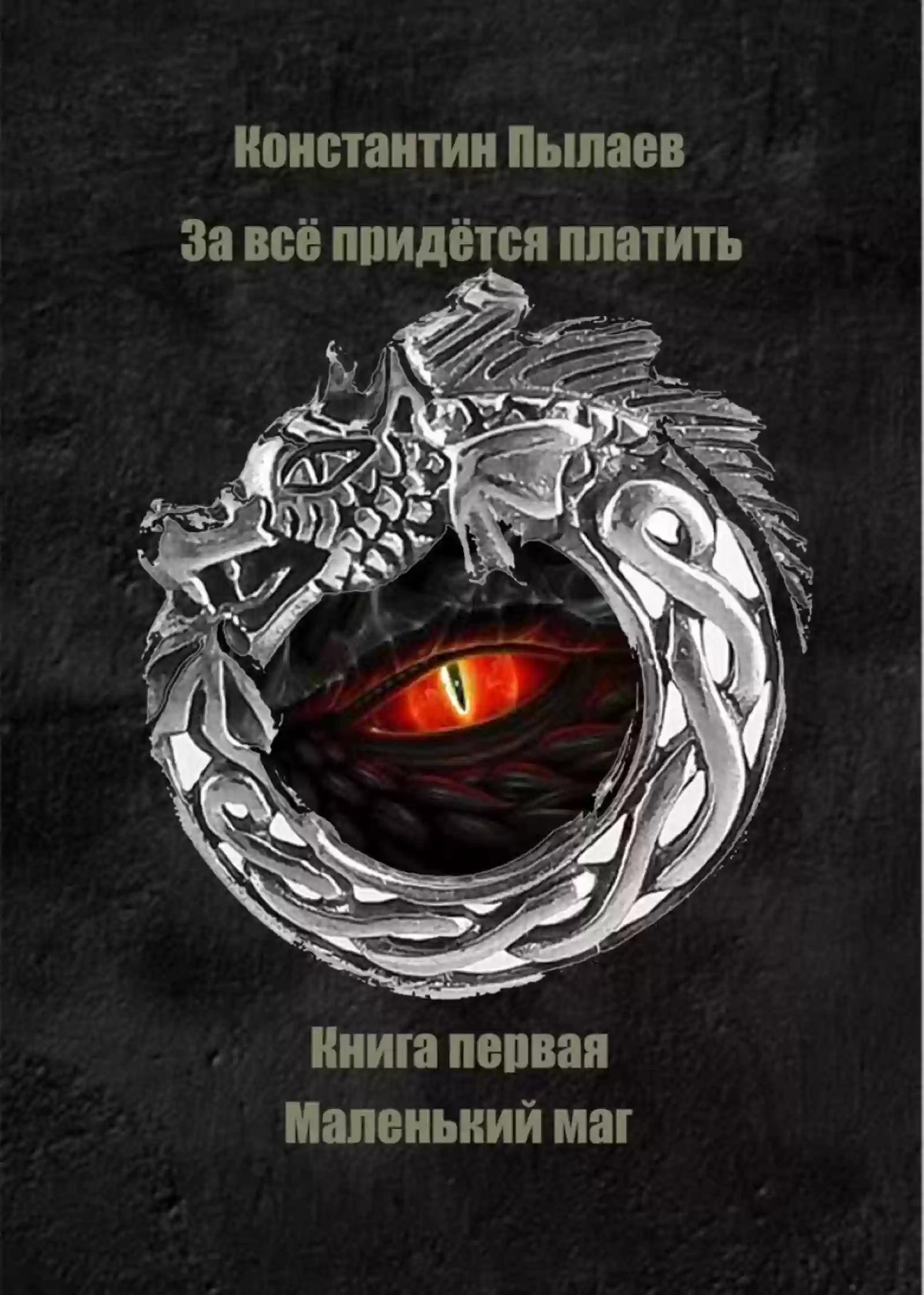 обложка аудиокниги За всё придётся платить. Книга первая. Маленький маг