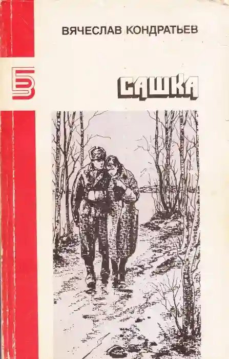 обложка аудиокниги Сашка