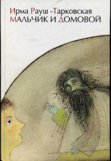 обложка аудиокниги Мальчик и Домовой
