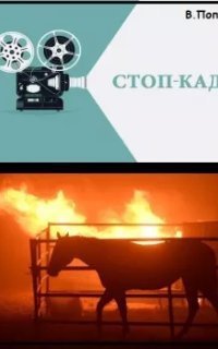 обложка аудиокниги Стоп