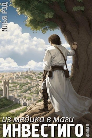 обложка аудиокниги Из медика в маги. Том 6. Финал