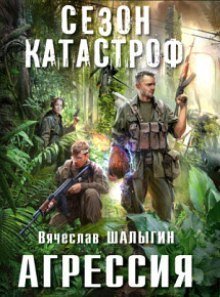 обложка аудиокниги Агрессия