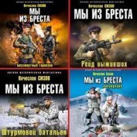 обложка аудиокниги Мы из Бреста 1