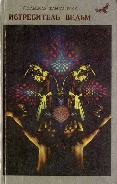 обложка аудиокниги Истребитель ведьм