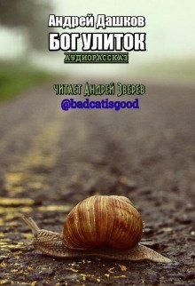 обложка аудиокниги Бог улиток