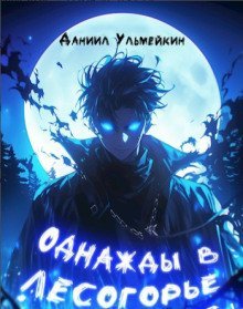 обложка аудиокниги Однажды в Лесогорье