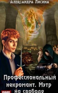 обложка аудиокниги Профессиональный некромант 3. Мэтр на свободе