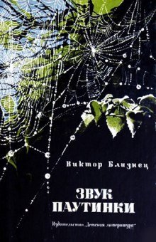 обложка аудиокниги Звук паутинки