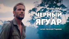 обложка аудиокниги Черный ягуар