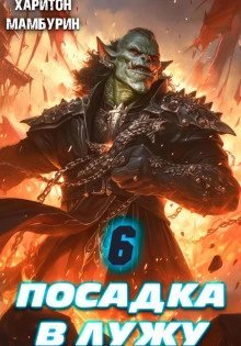 обложка аудиокниги Посадка в лужу