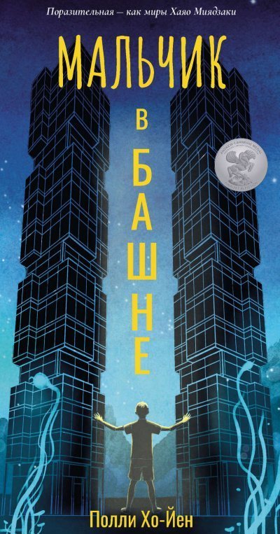 обложка аудиокниги Мальчик в башне