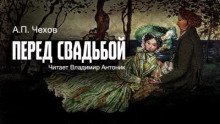 обложка аудиокниги Перед свадьбой
