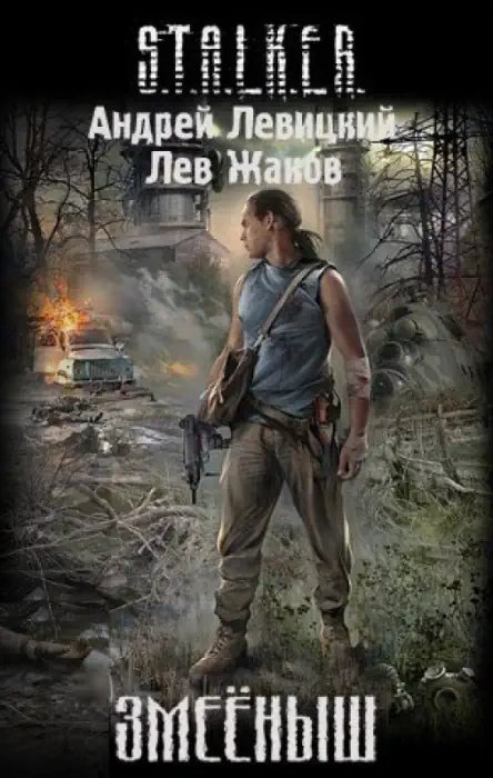 обложка аудиокниги S.T.A.L.K.E.R. Змееныш