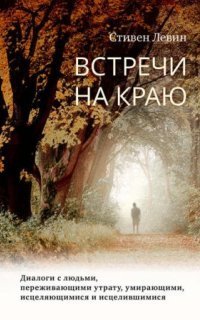 обложка аудиокниги Встречи на краю