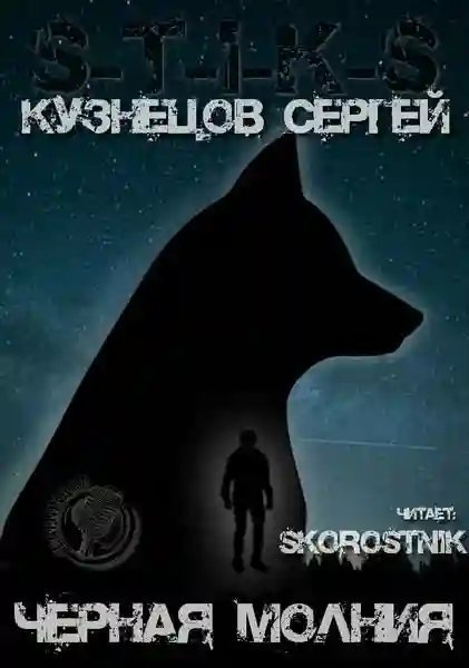 обложка аудиокниги S-T-I-K-S. Чёрная Молния