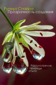 обложка аудиокниги Прозрачность создания