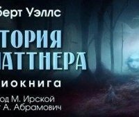 обложка аудиокниги История Платтнера