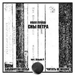 обложка аудиокниги Сны Петра