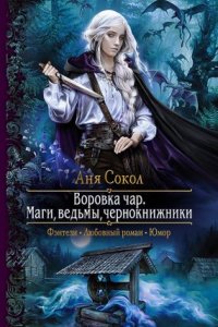 обложка аудиокниги Воровка чар 1. Маги, ведьмы, чернокнижники