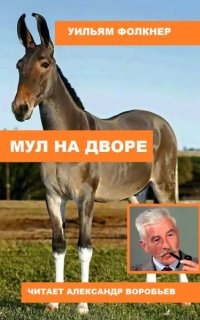 обложка аудиокниги Мул на дворе
