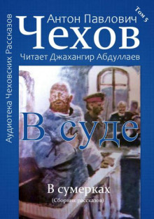 обложка аудиокниги В суде