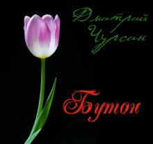 обложка аудиокниги Бутон