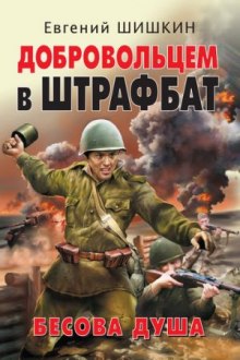 обложка аудиокниги Бесова душа