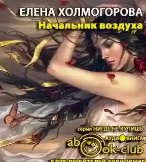 обложка аудиокниги Начальник воздуха
