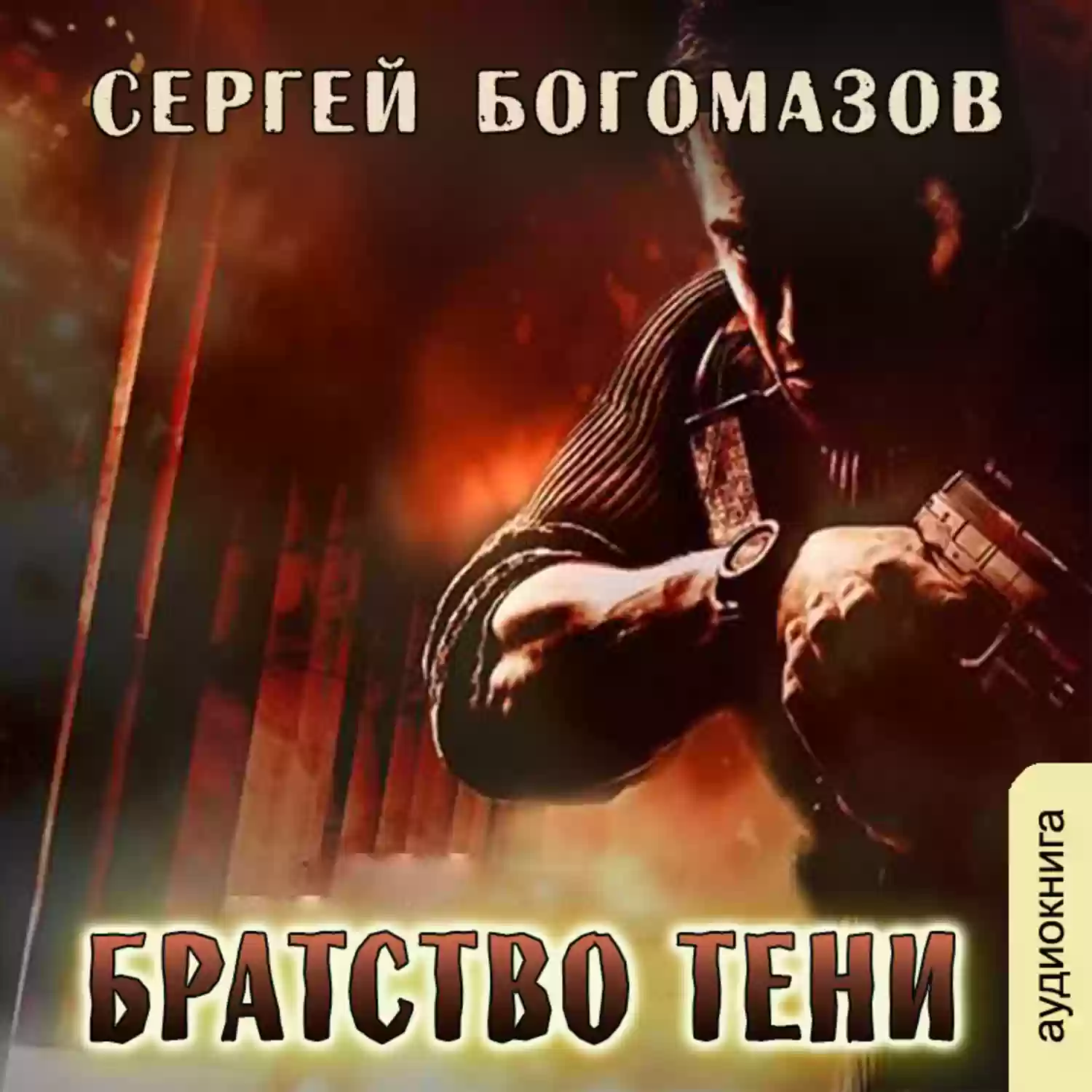 обложка аудиокниги Братство Тени