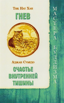 обложка аудиокниги Гнев