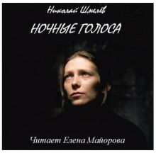 обложка аудиокниги Ночные голоса