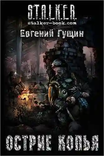 обложка аудиокниги S.T.A.L.K.E.R. Острие копья