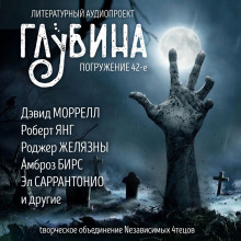 обложка аудиокниги ГЛУБИНА. Погружение 42-е