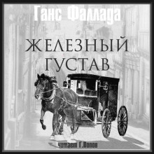 обложка аудиокниги Железный Густав