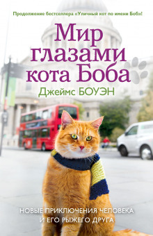 обложка аудиокниги Мир глазами кота Боба