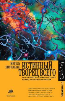 обложка аудиокниги Истинный творец всего. Как человеческий мозг сформировал вселенную в том виде, в котором мы ее воспринимаем