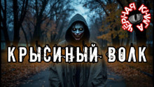обложка аудиокниги Крысиный волк