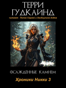 обложка аудиокниги Осаждённые камнем