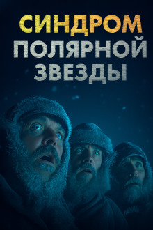 обложка аудиокниги Синдром Полярной звезды