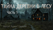 обложка аудиокниги Тайна деревни в лесу